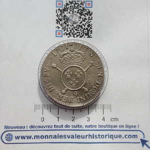 LOUIS XIV LE GRAND OU LE ROI SOLEIL Écu aux insignes 1701 Rennes