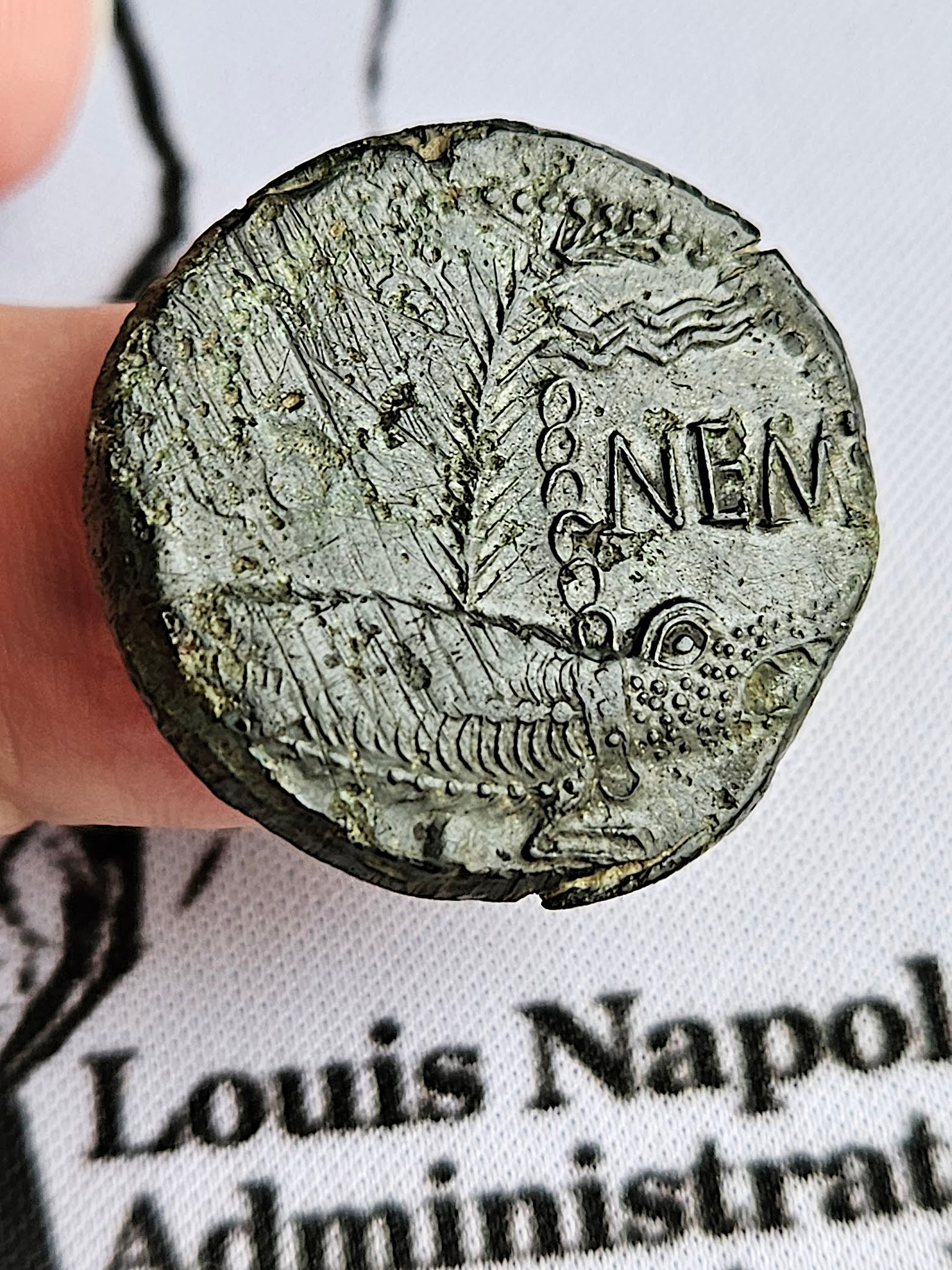 NEMAUSUS - NÎMES - AUGUSTE et AGRIPPA Dupondius COL NEM (as)