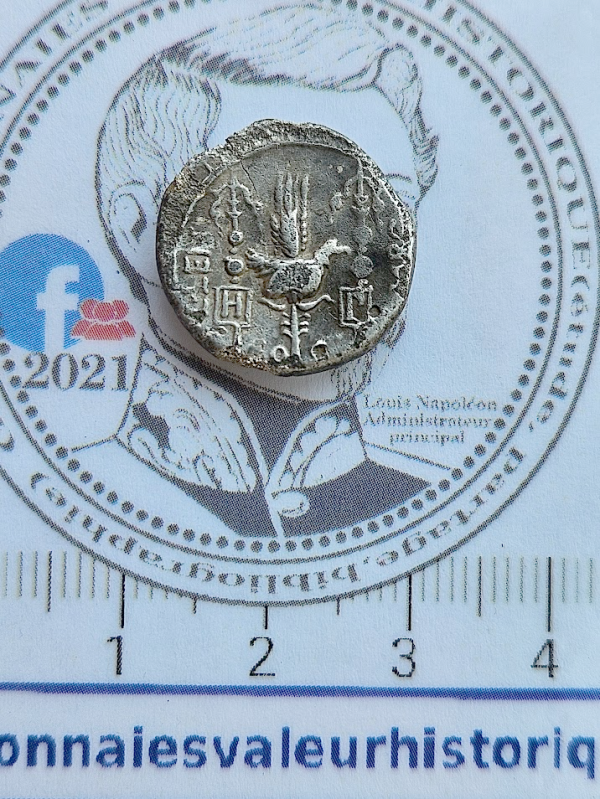 Denier TTB+ de Neria – Saturne & Aigle légionnaire – Guerre civile de César et Pompée (49 av. J.-C.) – Rare R8 – Image 3