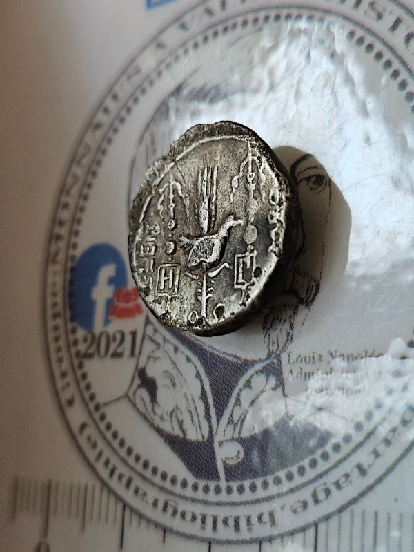 Denier TTB+ de Neria – Saturne & Aigle légionnaire – Guerre civile de César et Pompée (49 av. J.-C.) – Rare R8 – Image 5