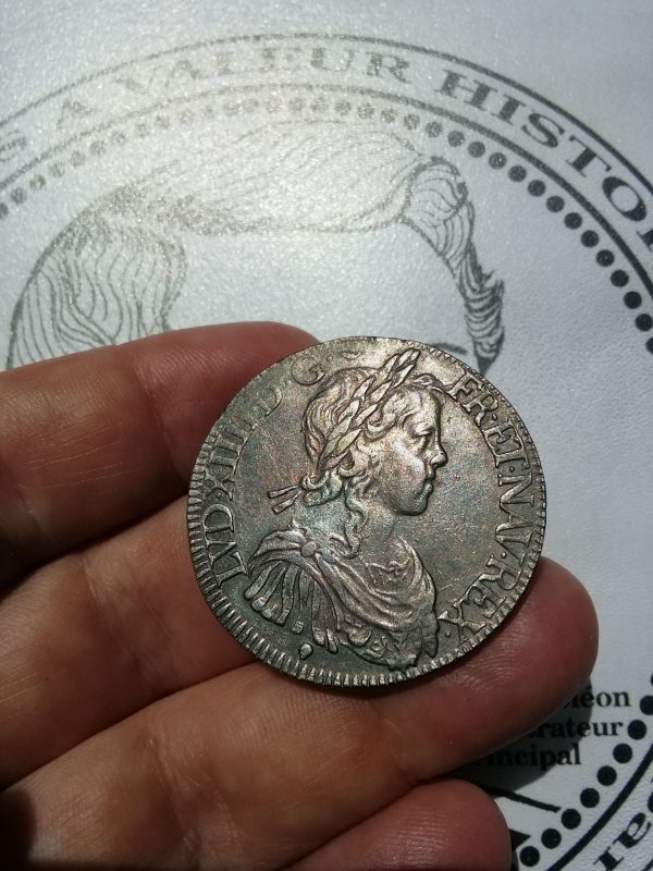Écu de Louis XIV à la méche longue pour Toulouse