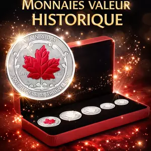 coffret de pièces Mapple Leaf – Argent 999,9
