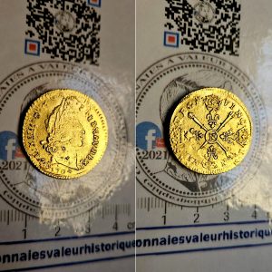 Louis d’or aux insignes 1704 Montpellier