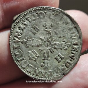 Henri II douzain au croissants 1550 Montélimar