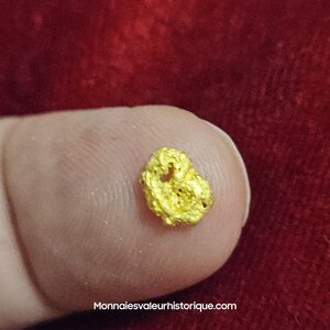 Pépite naturelle kalgoorlie Australie