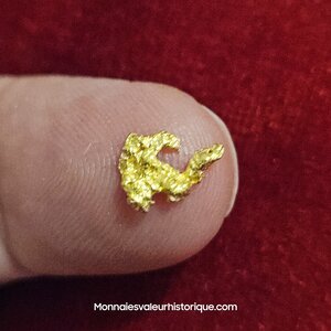 Pépite naturelle kalgoorlie Australie