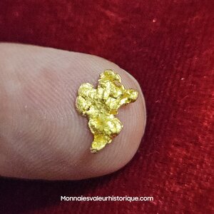 Pépite naturelle kalgoorlie Australie