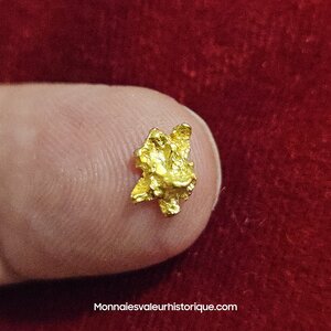 Pépite naturelle kalgoorlie Australie