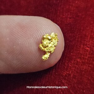 Pépite naturelle kalgoorlie Australie