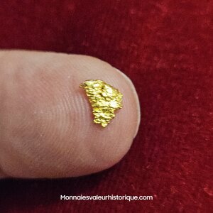 Pépite naturelle kalgoorlie Australie