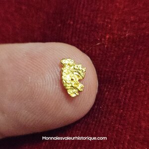 Pépite naturelle kalgoorlie Australie