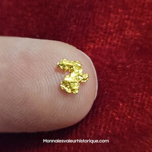 Pépite naturelle kalgoorlie Australie 615