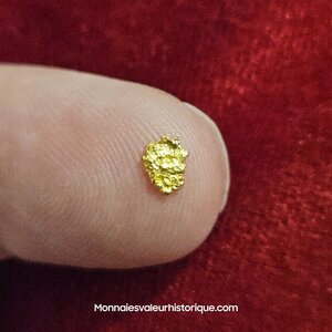 Pépite naturelle kalgoorlie Australie