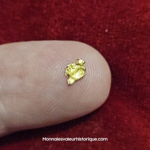 Pépite naturelle kalgoorlie Australie