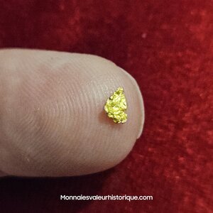 Pépite naturelle kalgoorlie Australie