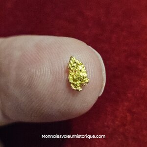 Pépite naturelle kalgoorlie Australie 538