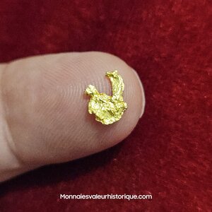 Pépite naturelle kalgoorlie Australie 558