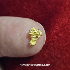 Pépite naturelle kalgoorlie Australie 568