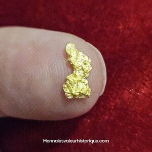 Pépite naturelle kalgoorlie Australie 577