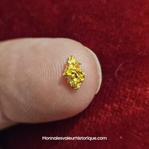 Pépite naturelle kalgoorlie Australie 536