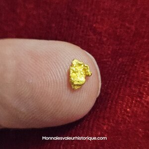 Pépite naturelle kalgoorlie Australie 535