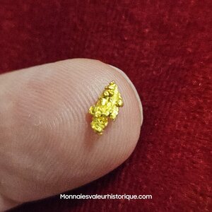 Pépite naturelle kalgoorlie Australie 527