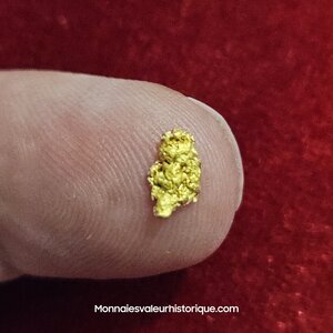 Pépite naturelle kalgoorlie Australie 526