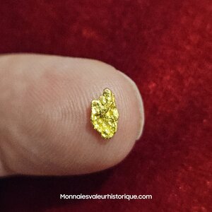 Pépite naturelle kalgoorlie Australie 522