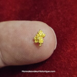 Pépite naturelle kalgoorlie Australie 509