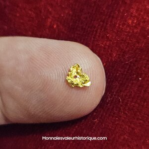 Pépite naturelle kalgoorlie Australie 497