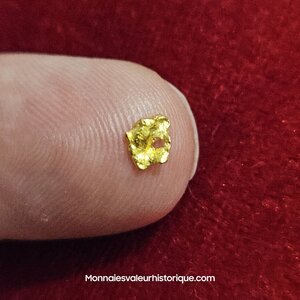 Pépite naturelle kalgoorlie Australie 495