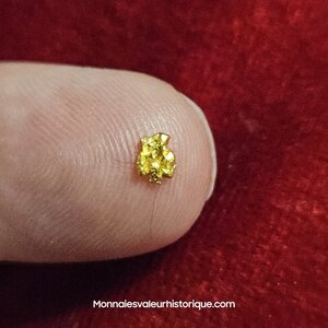 Pépite naturelle kalgoorlie Australie 494