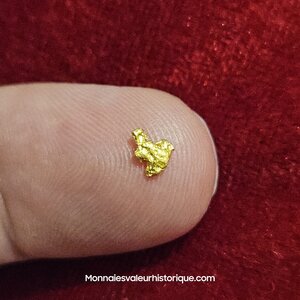 Pépite naturelle kalgoorlie Australie 493