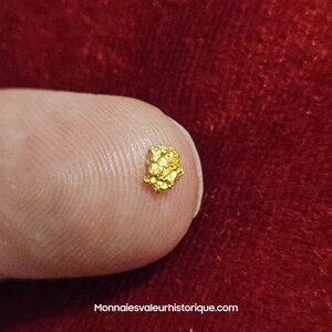 Pépite naturelle kalgoorlie Australie 491