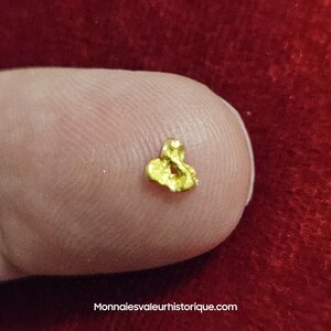 Pépite naturelle kalgoorlie Australie 490