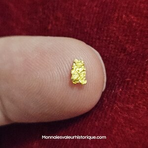 Pépite naturelle kalgoorlie Australie 489