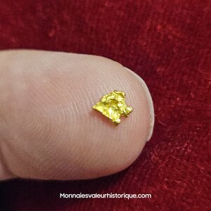 Pépite naturelle kalgoorlie Australie 487