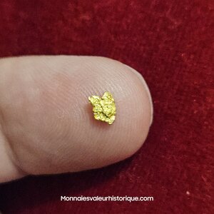 Pépite naturelle kalgoorlie Australie 483