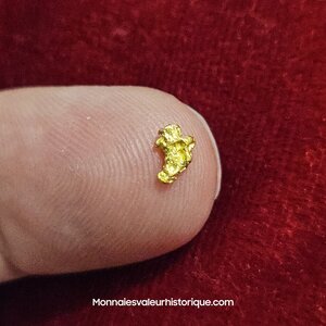 Pépite naturelle kalgoorlie Australie 476