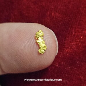 Pépite naturelle kalgoorlie Australie 468