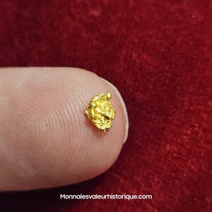 Pépite naturelle kalgoorlie Australie 291