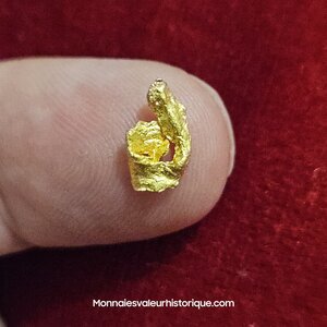 Pépite naturelle kalgoorlie Australie 312