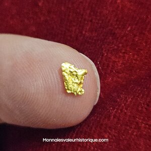 Pépite naturelle kalgoorlie Australie 216