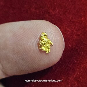 Pépite naturelle kalgoorlie Australie 285