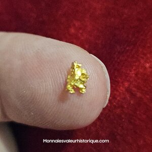 Pépite naturelle kalgoorlie Australie 286