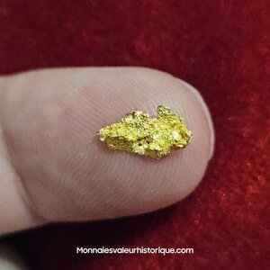 Pépite naturelle kalgoorlie Australie 280