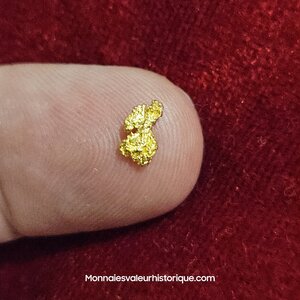 Pépite naturelle kalgoorlie Australie 200