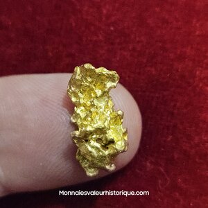 Pépite naturelle kalgoorlie Australie 3