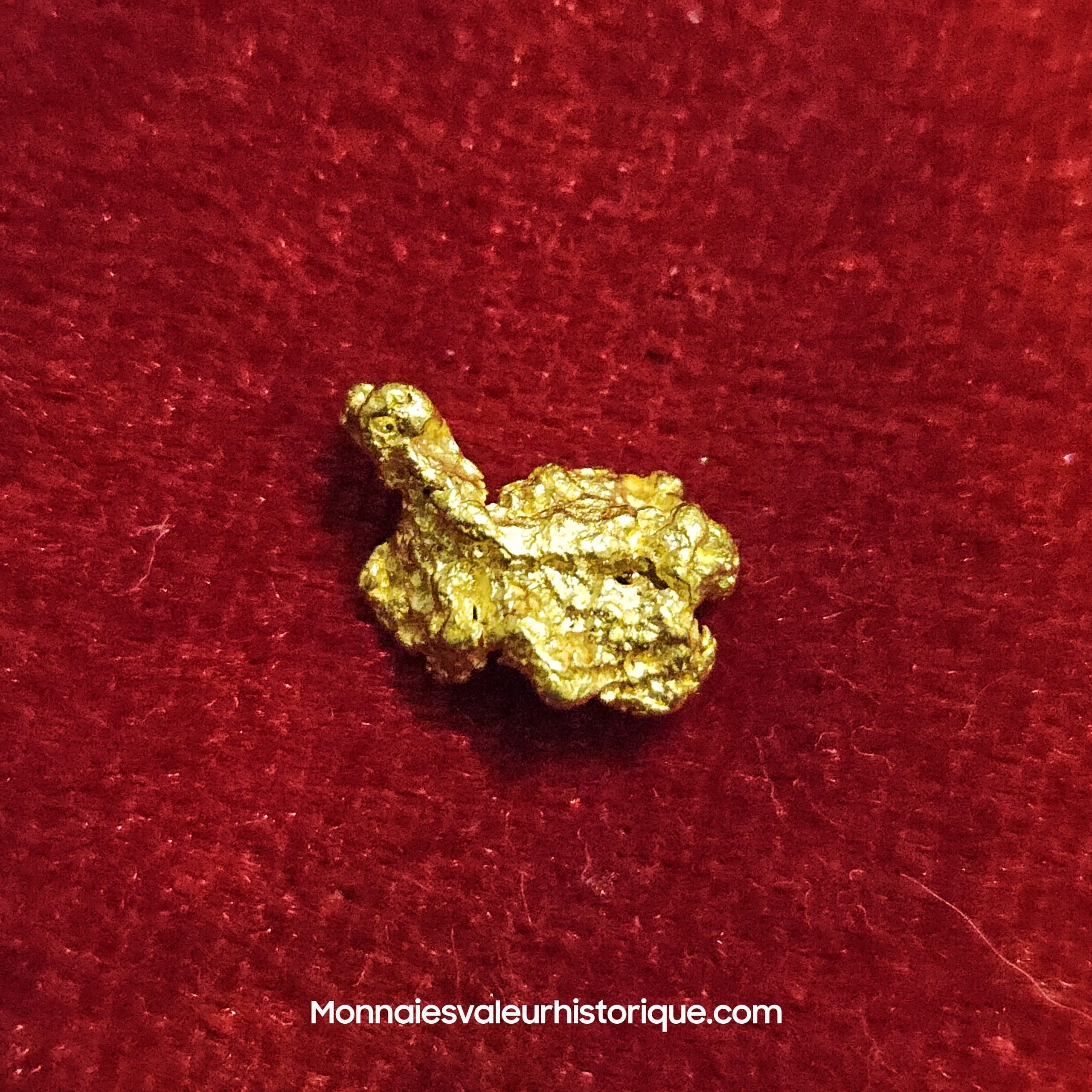Photo de la pépite