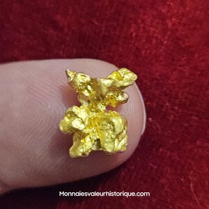 Pépite naturelle kalgoorlie Australie 16